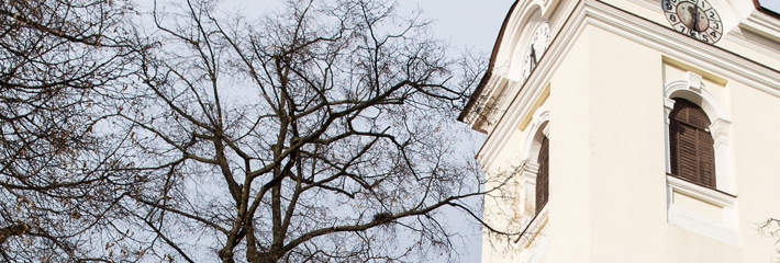 Les empereurs au château de Bohdalice